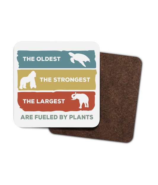 Oldest Strongest Largest 4 Pack Hardboard Coaster